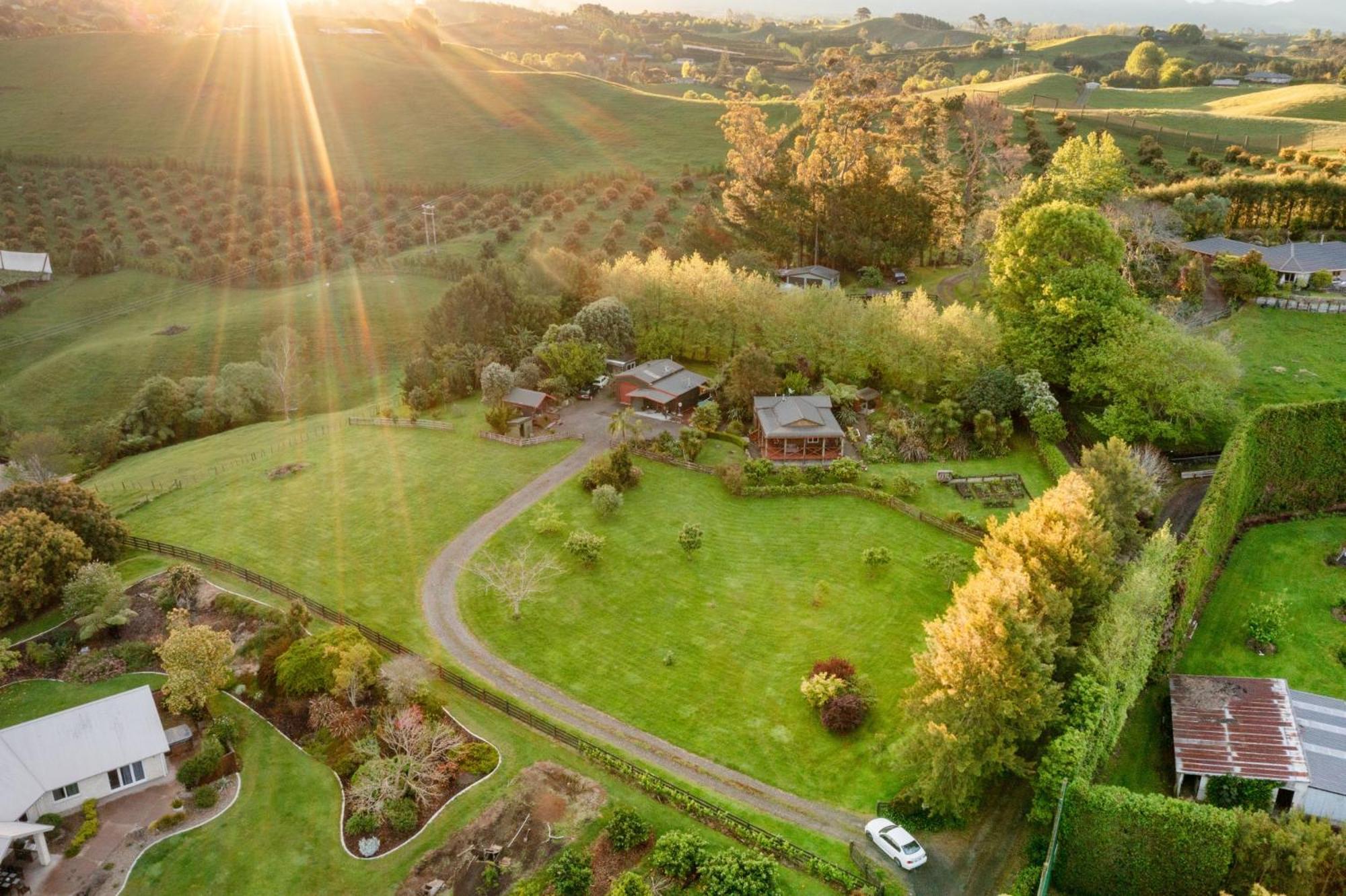 Swiss-Kiwi Cottage And Retreat, B&B Tauranga Esterno foto